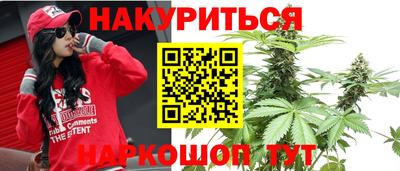 мдпв Гатчина