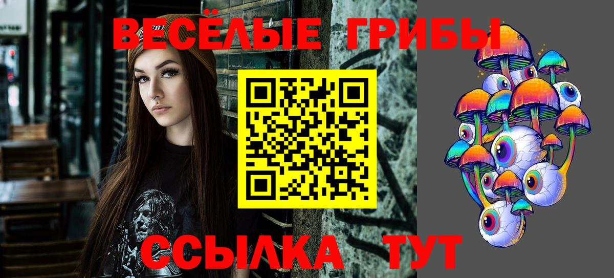 Псилоцибиновые грибы Psilocybine cubensis  Вход с VPN  Псилоцибиновые грибы Magic Shrooms  Отрадный 