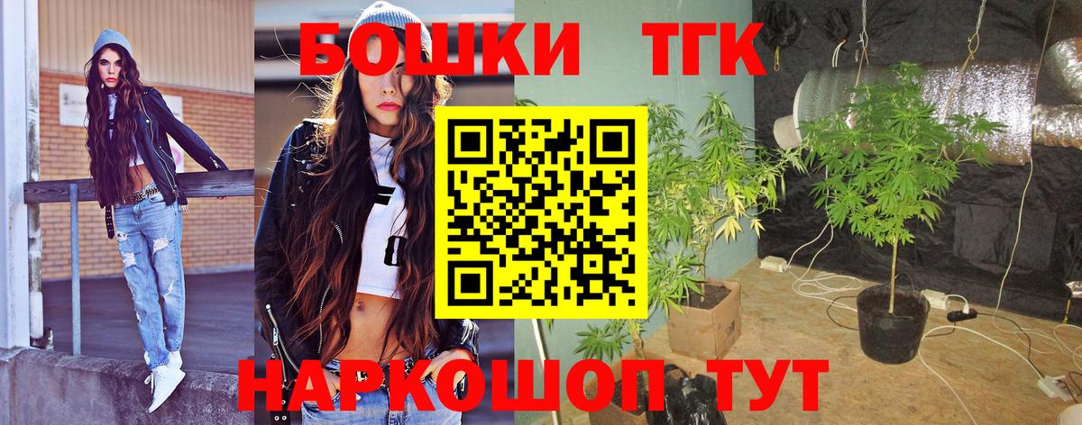Бошки Шишки гибрид  Бошки Шишки сатива  Канабис семена  Вход с VPN  Отрадный 